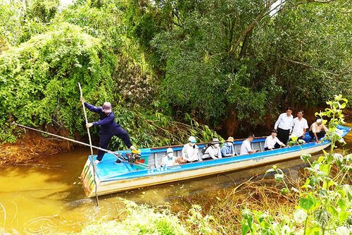 Hoang sơ rừng tràm Tân Tuyến