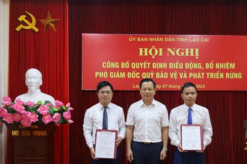 Công bố Quyết định bổ nhiệm Phó Giám đốc Quỹ Bảo vệ và Phát triển rừng
