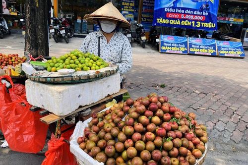 Mơ mận đầu mùa giá cao vẫn đắt khách
