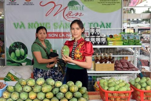 Bộ Công Thương triển khai loạt giải pháp hỗ trợ tiêu thụ hàng hóa vùng miền núi