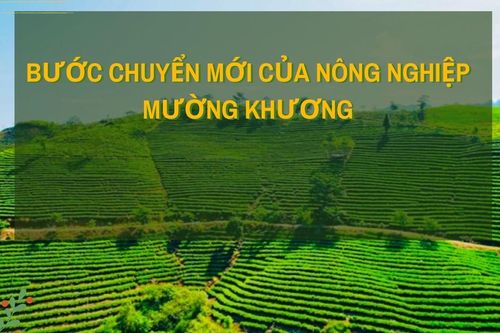 Bước chuyển mới của nông nghiệp Mường Khương