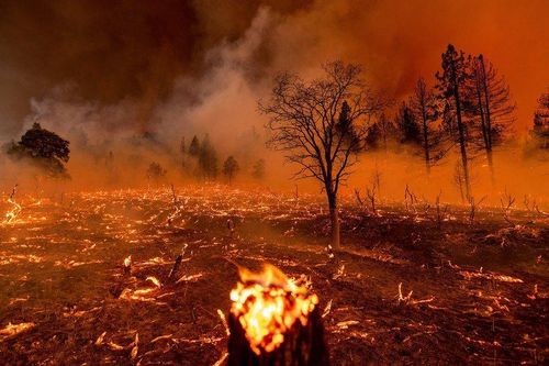 Cháy rừng ở Bắc Bán cầu khiến lượng khí thải CO2 tăng mạnh