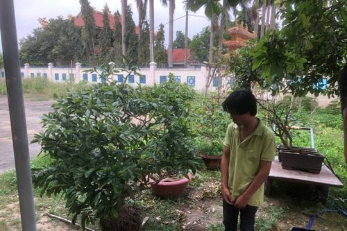 'Mai tặc' xộ khám
