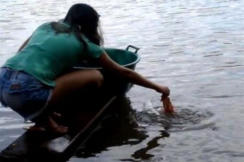 Clip: Màn câu cá piranha 'siêu độc' của thiếu nữ Brazil