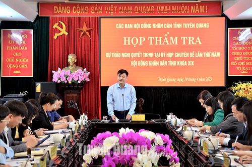 Các ban HĐND tỉnh thẩm tra các dự thảo nghị quyết
