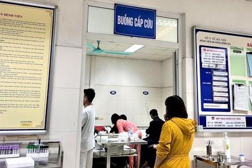 Vụ học sinh trường tiểu học Kim Giang ngộ độc thực phẩm sau chuyến dã ngoại: Đơn vị cung cấp thức ăn sẽ bị xử phạt
