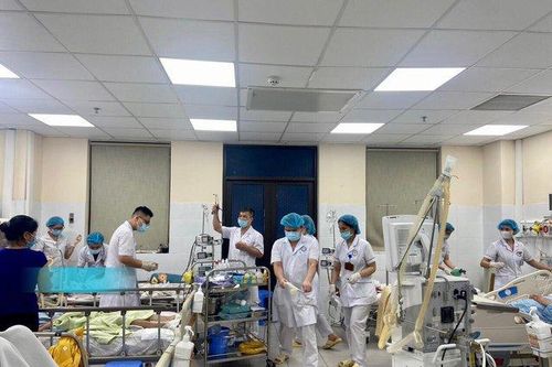Từ vụ người phụ nữ nguy kịch vì ăn lá ngón: Cách nào để nhận biết và phòng tránh?