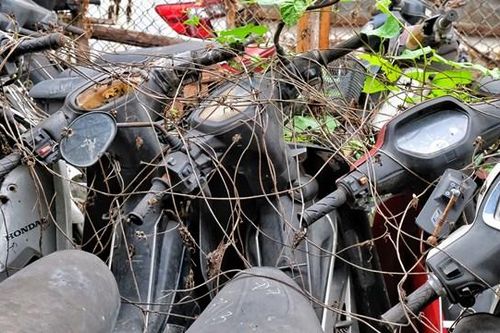 Hà Nội: Bãi giữ xe vi phạm giao thông quá tải, phủ đầy cỏ dại
