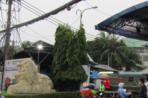 Tân Hiệp Phát có tổng giám đốc mới