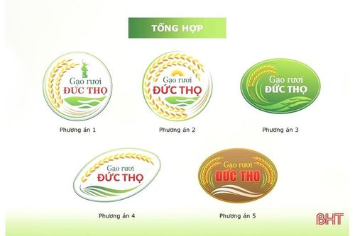 5 phương án logo đăng ký bảo hộ nhãn hiệu 'Gạo rươi Đức Thọ'