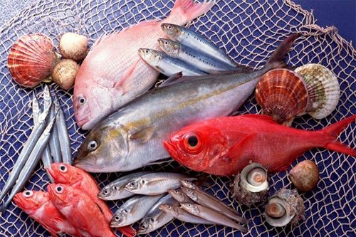 3 loại cá nên hạn chế ăn để tốt cho sức khỏe