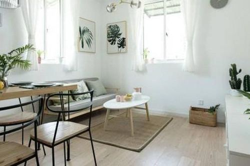 Căn hộ 49m2 vẫn 'tươm tất' cho 2 phòng ngủ sau khi được cải tạo lại
