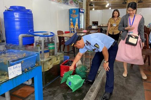Nha Trang: Kiểm tra nhà hàng bị tố 'chặt chém' khách Trung Quốc