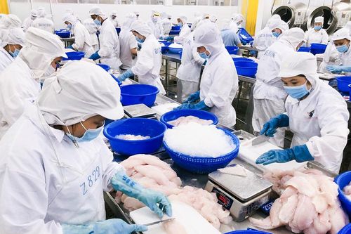 An Giang: Tập trung tăng tốc năm 2023