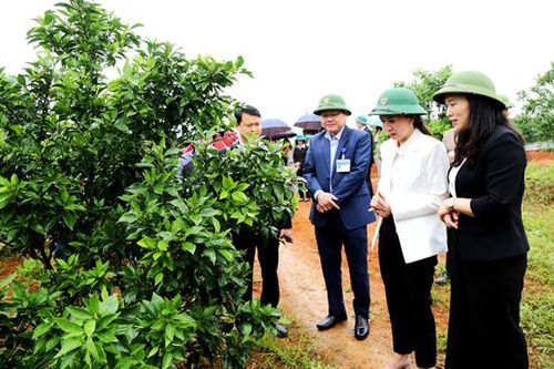 Lãnh đạo UBND tỉnh kiểm tra tại huyện Chi Lăng: Triển khai quyết liệt, đồng bộ các giải pháp phát triển kinh tế – xã hội