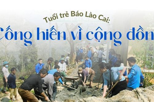 Tuổi trẻ Báo Lào Cai cống hiến vì cộng đồng