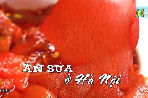 Ăn sứa ở Hà Nội (Nhịp sống Hà Nội ngày 11/04/2023)