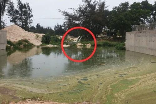 Quảng Bình: Nuôi cá lóc trên cát, xả thẳng nước thải không qua xử lý ra môi trường