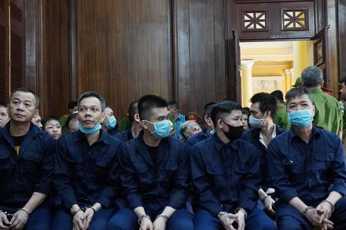 Xét xử vụ trường gà quận 6