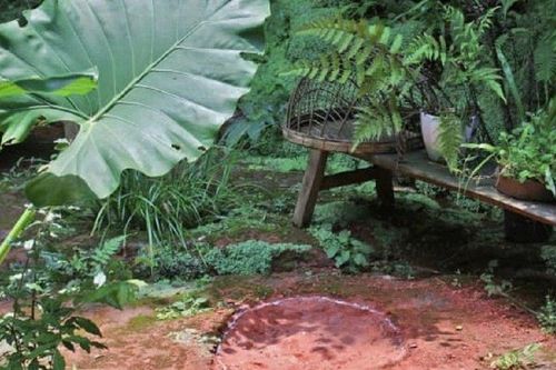 Đi ăn ở nhà hàng tình cờ phát hiện dấu vết 'quái thú' 100 triệu tuổi