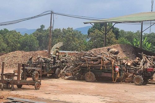 Vụ nhà máy sản xuất viên nén gỗ gây ô nhiễm: Công an vào cuộc xác minh