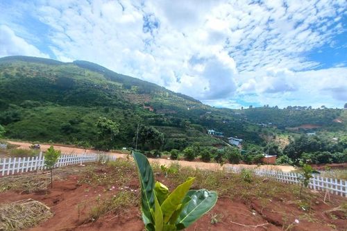 Lâm Đồng: Loạt sai phạm đất đai tại huyện Lâm Hà