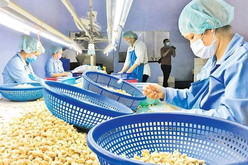 Nghị quyết 50/NQ-CP của Chính phủ: Tạo đà cho doanh nghiệp phục hồi sản xuất, kinh doanh