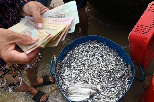 Mua hải sản giá siêu rẻ ở chợ ven biển Quảng Nam