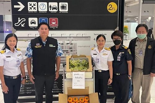 Du khách mang trái cây tươi vào Thái Lan có nguy cơ bị phạt tù