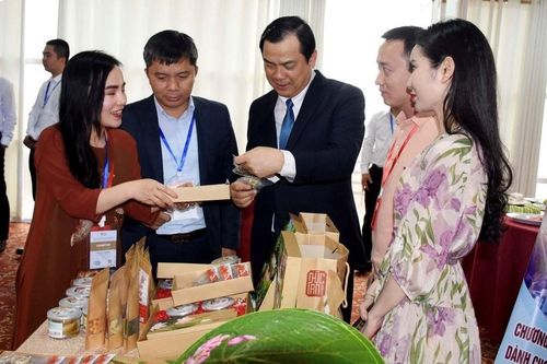 Ninh Bình, Thanh Hóa, Nghệ An, Hà Tĩnh liên kết phát triển du lịch bền vững