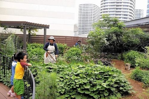 Đô thị nông nghiệp: 'Đô thị ăn được'