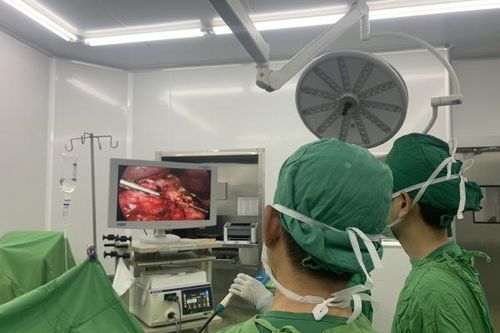 Bệnh viện Đa khoa tỉnh Khánh Hòa:: Phẫu thuật nội soi hoàn toàn khối tá tụy với độ khó rất lớn