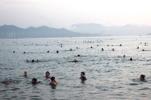 Ghiền bơi biển