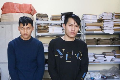 Khởi tố, bắt tạm giam hai đối tượng vi phạm quy định khai thác, bảo vệ rừng và lâm sản
