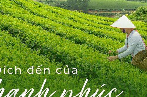 Đích đến của hạnh phúc