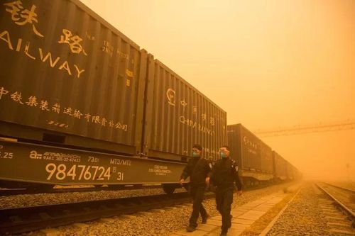 Cơn ác mộng 'chiến binh đất nung' từ sa mạc Gobi