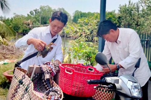Giá cua ở Kiên Giang tăng cao