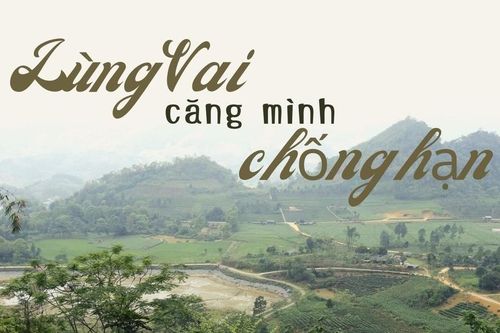 Lùng Vai: Căng mình chống hạn