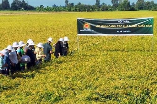 Lộc Trời sẽ tăng vốn điều lệ lên 1.000 tỷ đồng
