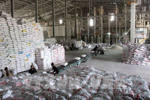 Thị trường nông sản thế giới: Giá gạo tại các 'vựa lúa' lớn đều tăng