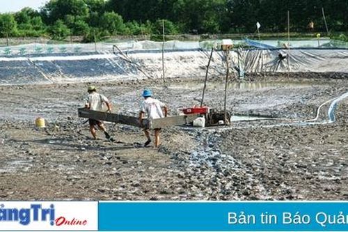 Vĩnh Linh: Khoảng 250 ha nuôi tôm không thể bơm nước vào ao nuôi
