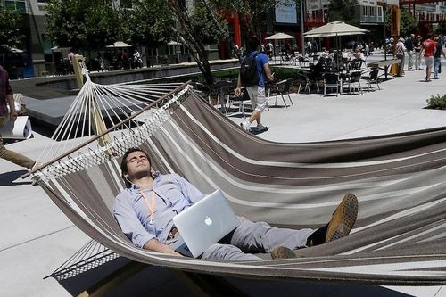 'Công dân tech' của Thung lũng Silicon sẽ về đâu