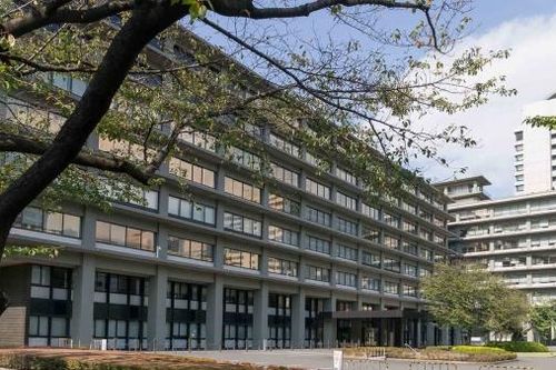 Những nét chính trong Sách Xanh ngoại giao Nhật Bản