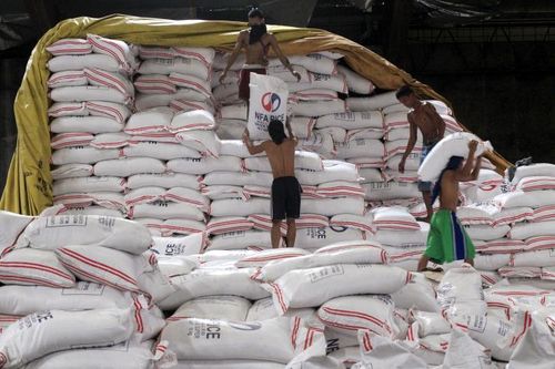 Philippines tìm cách nhập thêm 330.000 tấn gạo