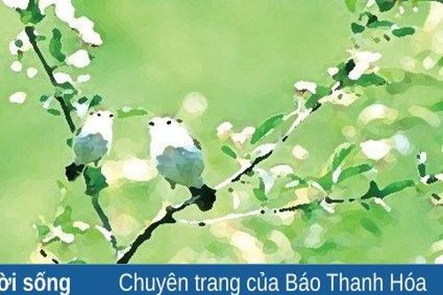 Những cánh chim thơ dại
