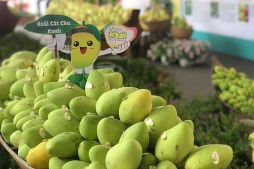 Dịp lễ 30/4-1/5: Khai mạc Lễ hội Xoài Đồng Tháp