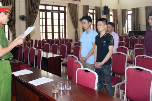Phê chuẩn khởi tố 4 đối tượng khai thác gỗ trái pháp luật