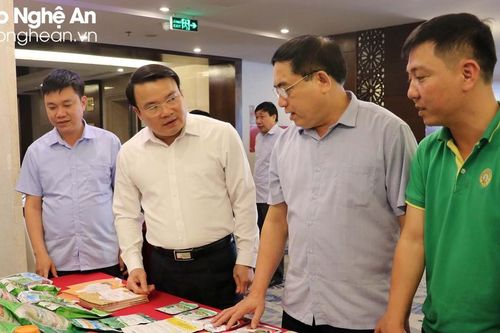 Nghệ An phấn đấu gieo trồng hơn 111 nghìn ha cây trồng vụ hè thu - mùa 2023