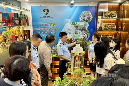 Tổng cục Quản lý thị trường tổ chức chương trình thực tế cho sinh viên chuyên ngành Quản lý thị trường