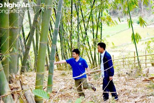 Trưởng bản vùng cao năng động, nói 'không' với đói nghèo